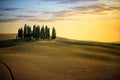 San Quirico d` Orcia, famous group of cypress trees in summer sunset light. Tuscany, Italy Royalty Free Stock Photo